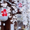 平野神社の魁桜